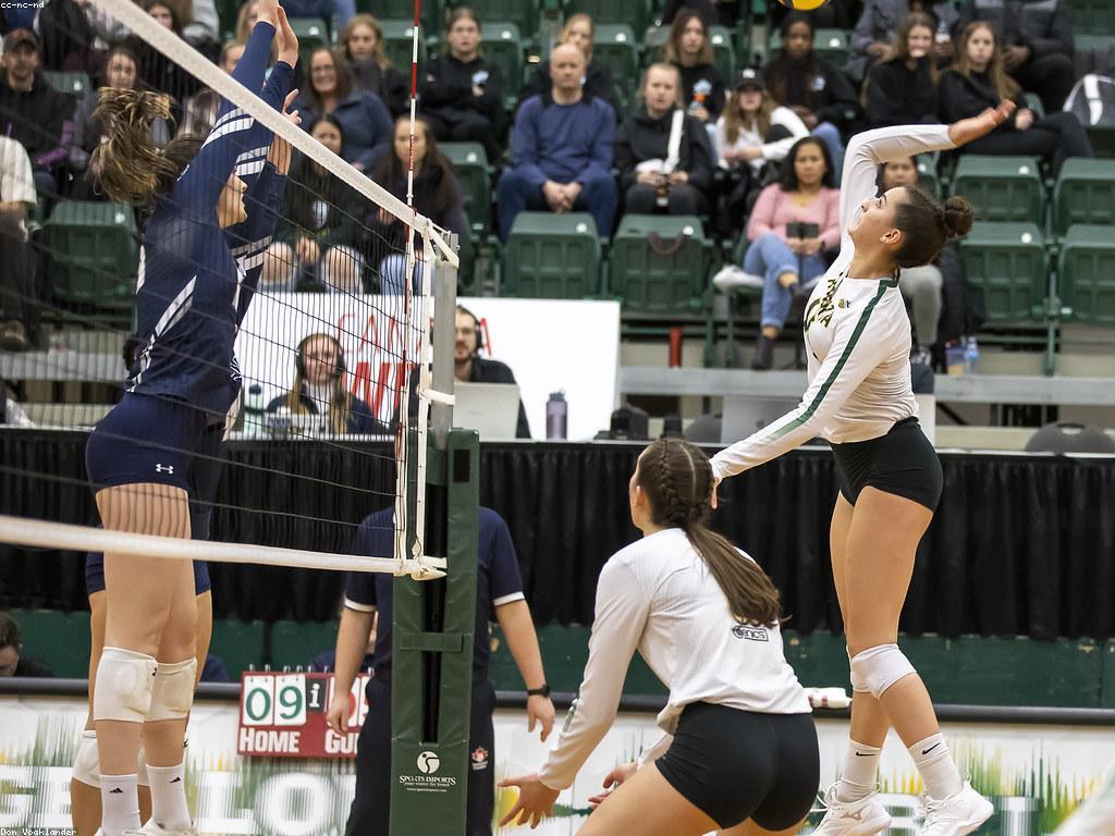 ព័ត៌មានបាល់ឡាយ: ការវាយតម្លៃនិងអភិវឌ្ឍន៍ថ្មីៗក្នុងពិភពកីឡា